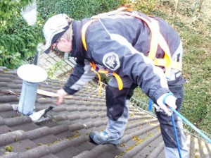 Zugänge und Öffnungen, durch die ein Marder eindringen kann, werden fachgerecht versiegelt.