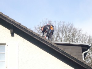 Dacharbeiten zur Marderabwehr, gesichert durch Fallschutz.